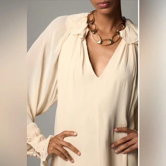 NWT ANTHROPOLOGIE Long Sleeve Sheer Pleated Maxi Dress Neutral‎ XS-M - Picture 3 of 16